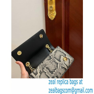 Dolce  &  Gabbana Calfskin 3.5 Chain phone bag Python Print